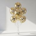 6 Transparent Balloons