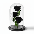 Black Preserved Rose