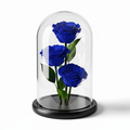 Triple Ocean Preserved Blue Roses