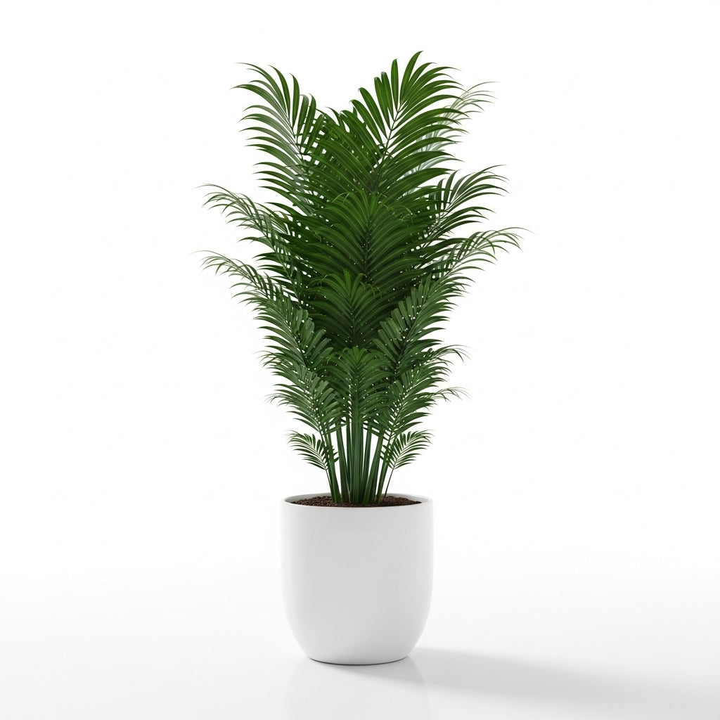 Tropical Indoor Palm Plant Pot