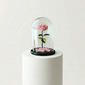Pink Medium Preserved Rose
