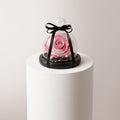 Pink Small Preserved Rose – Everlasting Beauty