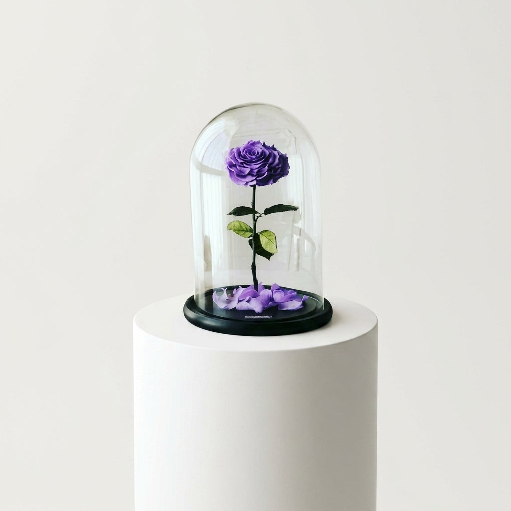Purple Forever Rose  – Luxurious Gift Choice