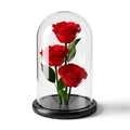 Red Preserved Rose