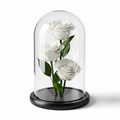 White Preserved Rose