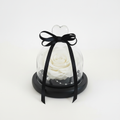 Snow Pearl Preserved White Rose Dome