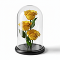 Yellow Preserved Rose