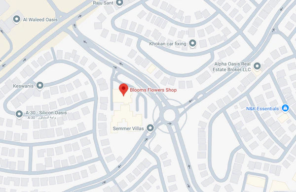 Dubai Silicon Oasis