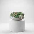 Fresh Indoor Cactus Pot featuring a beautifully arranged succulent display in a modern stone container.